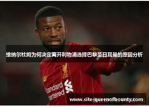 维纳尔杜姆为何决定离开利物浦选择巴黎圣日耳曼的原因分析 维纳尔杜姆为何决定离开利物浦选择巴黎圣日耳曼的原因分析