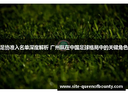 足协准入名单深度解析 广州队在中国足球格局中的关键角色 足协准入名单深度解析 广州队在中国足球格局中的关键角色