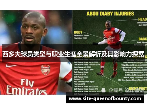 西多夫球员类型与职业生涯全景解析及其影响力探索 西多夫球员类型与职业生涯全景解析及其影响力探索